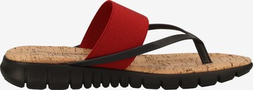 Rapisardi Teenslipper in Rood