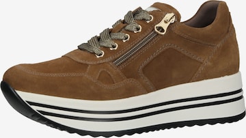 Nero Giardini Sneakers in Brown: front