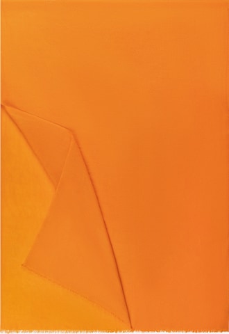 Roeckl Scarf in Orange: front