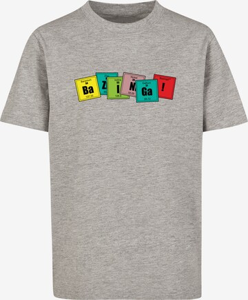 F4NT4STIC Shirt in Grey: front