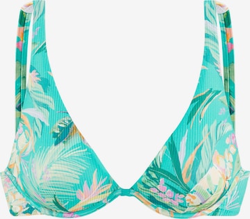 žalia VENICE BEACH Trikampė Bikinio viršutinė dalis: priekis