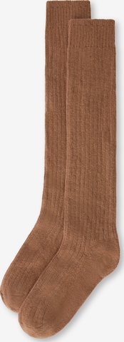 CALZEDONIA Socks in Brown: front