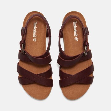 TIMBERLAND Sandals 'Malibu Waves' in Brown
