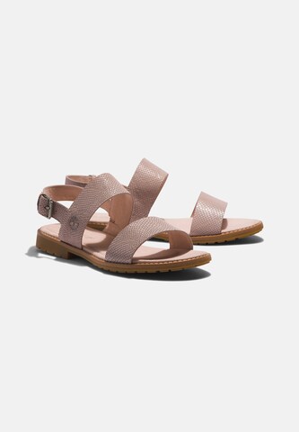 TIMBERLAND Sandals 'Chicago Riverside' in Pink