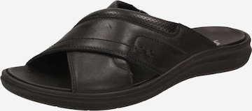 SIOUX Mules in Black: front
