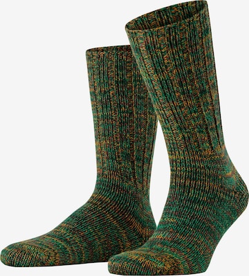 FALKE Socks 'Brooklyn' in Green: front