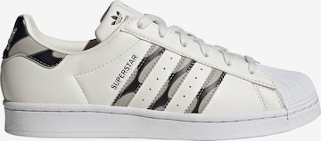 ADIDAS ORIGINALS Sneakers 'Superstar' in White