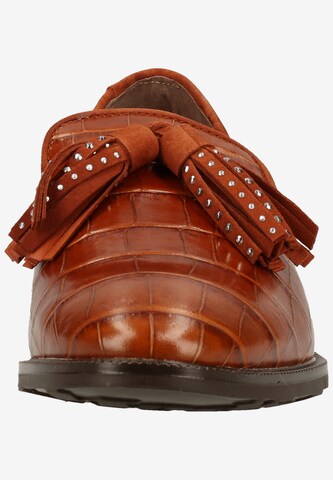 Chaussure basse Wonders en marron