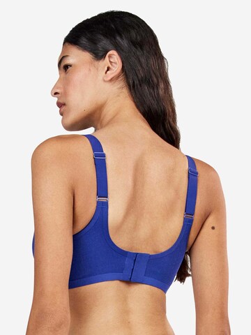 Push-up Reggiseno di Gisela in blu: dietro