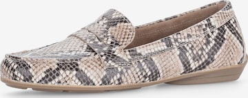 GABOR Classic Flats in Beige: front