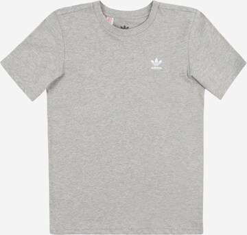 ADIDAS ORIGINALS T-shirt 'Adicolor' i grå: framsida