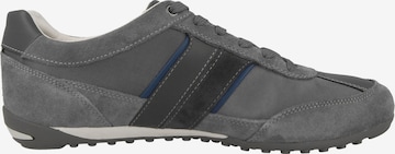 GEOX Sneakers 'Wells' in Grey