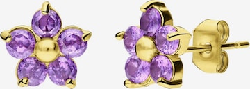 Lucardi Oorbellen 'Münze' in Goud: voorkant