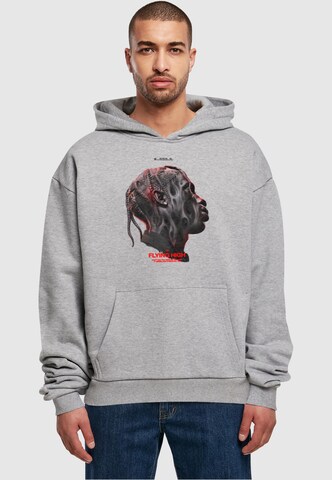 Sweat-shirt 'Flying High' MT Upscale en gris : devant