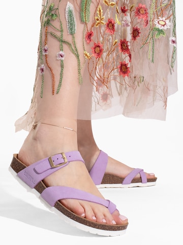 purpurinė Bayton Sandalai 'DIANE': priekis