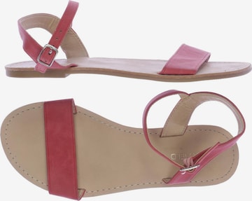 Anna Field Sandalen 36 in Pink: predná strana