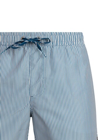 PROTEST Board Shorts 'PRTMarama' in Blue