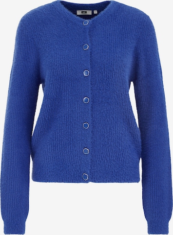 mėlyna WE Fashion Kardiganas: priekis