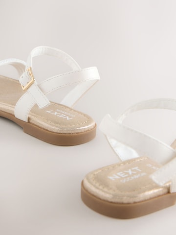 Next Sandal in Beige