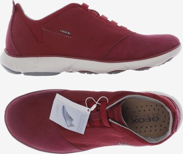 GEOX Sneakers & Trainers in 40 in Red: front