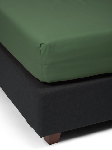 ESSENZA Bed Sheet 'Minte' in Green