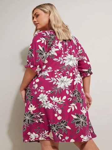 Stil Diva Dress in Pink