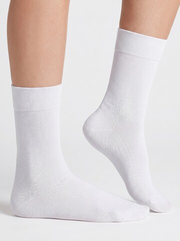 footstar Socks 'EVERYDAY!' in White