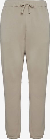 Pantalon Boggi Milano en gris : devant