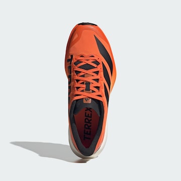 ADIDAS TERREX - Sapatilha de corrida 'Agravic 4' em laranja