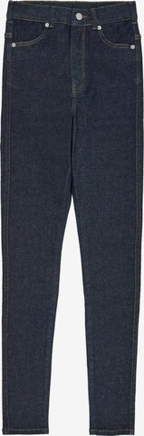 Dr. Denim Petite Jeans 'Moxy Petite' in Blue: front