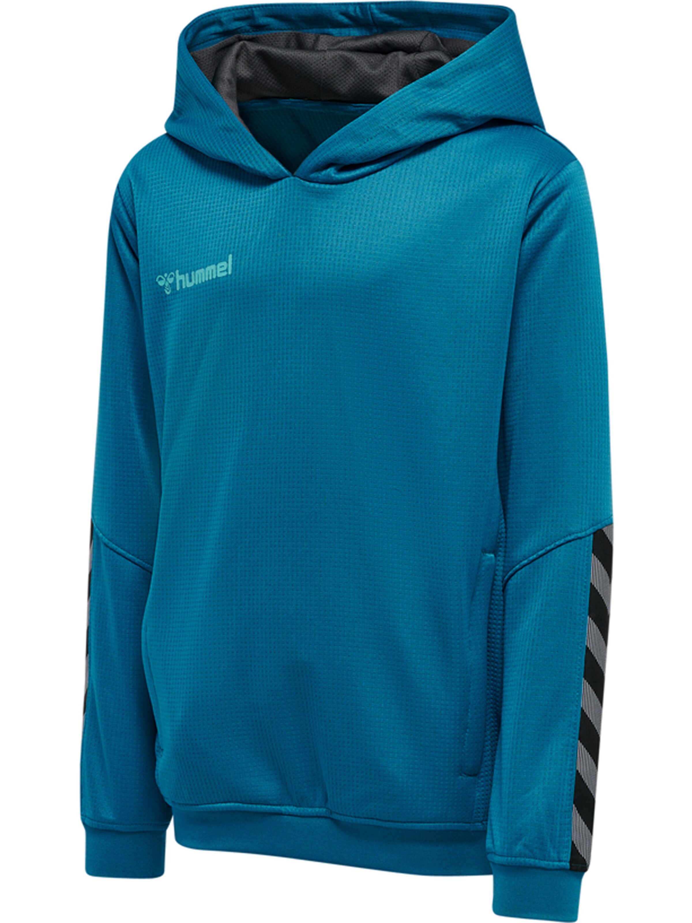 Hummel Athletic Sweatshirt 'Poly' in Blue