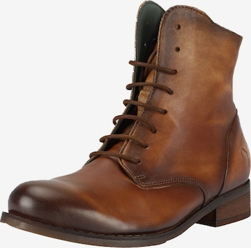 Bottines à lacets 'Beja' FELMINI en marron : devant