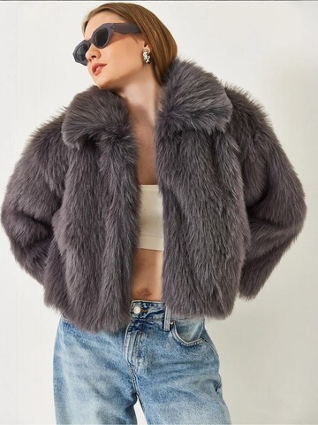 Veste mi-saison Bianco Lucci en gris