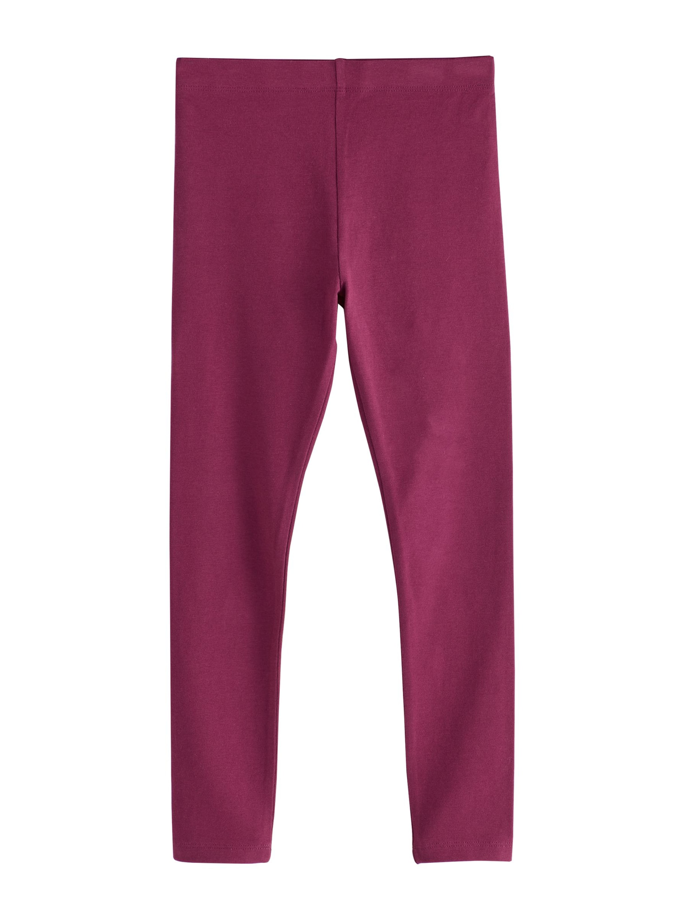 Next Skinny Leggings in Purple