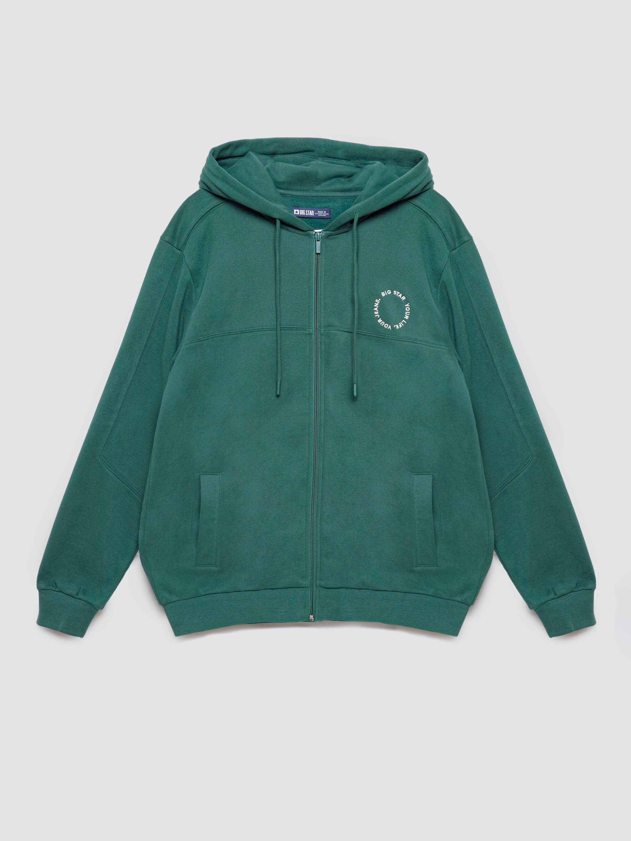 BIG STAR Sweatshirt 'Ajron' in Green: front