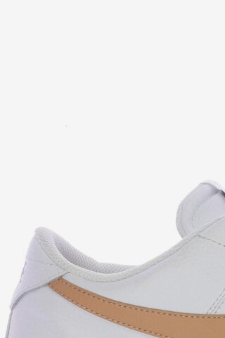NIKE Sneakers & Trainers in 43 in White