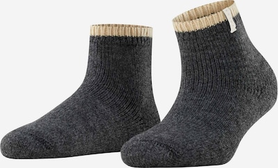 FALKE Socken in creme / dunkelgrau, Produktansicht