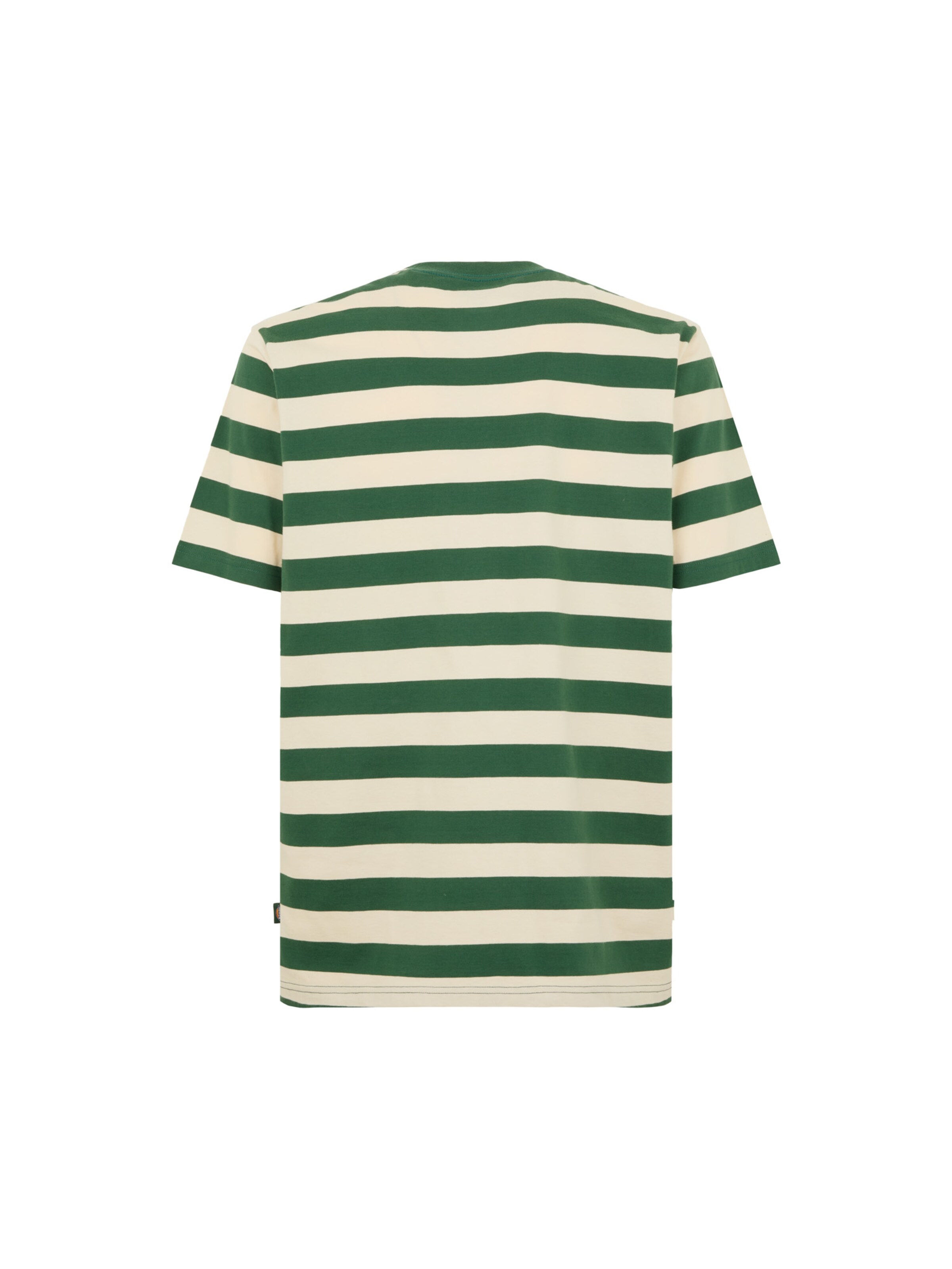 Maglietta 'Rivergrove' di DICKIES in verde
