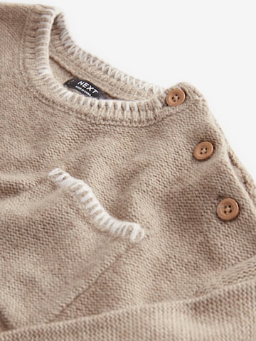 Next Pullover in Beige