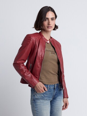 JCC Tussenjas ' 31025193 ' in Rood