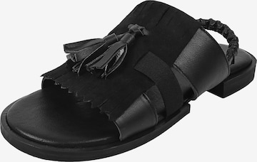 Sandales à lanières ' ROJA ' Crickit en noir : devant