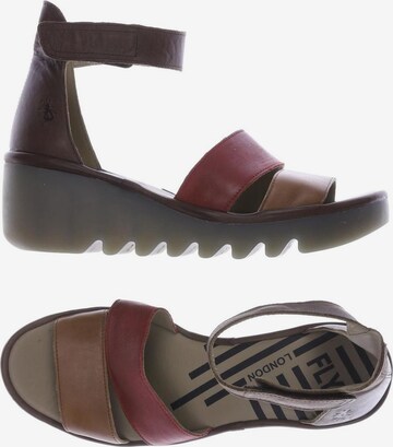 FLY LONDON Sandals & High-Heeled Sandals in 41 in Brown: front