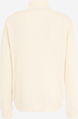 TOMMY HILFIGER Sweatshirt in Beige