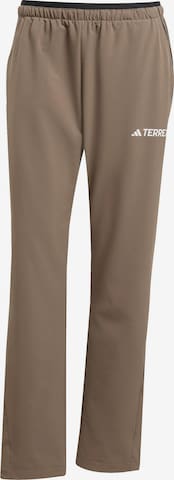 ADIDAS TERREX regular Udendørs bukser i brun: forside