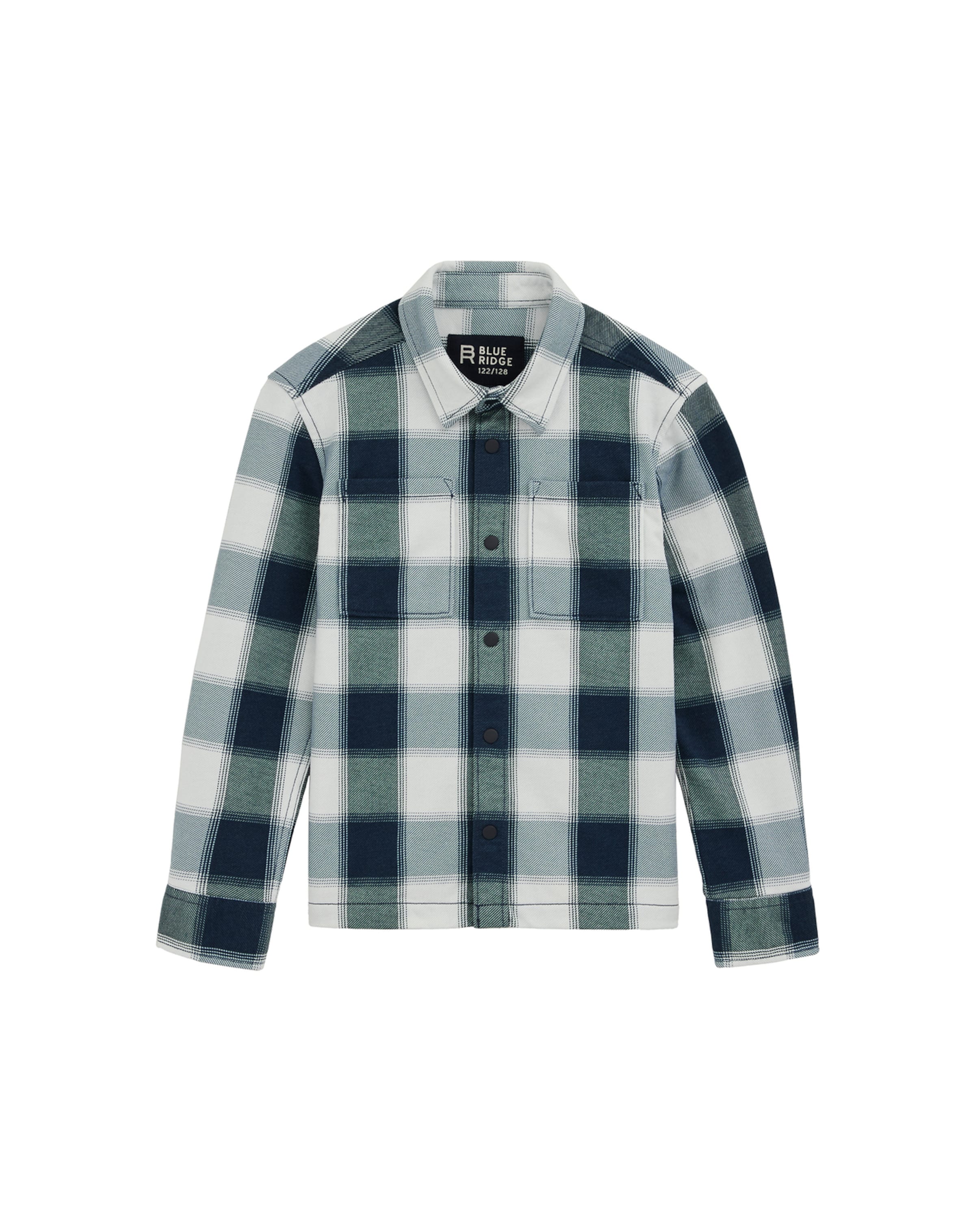 WE Fashion Regular fit Πουκάμισο σε μπλε: μπροστά