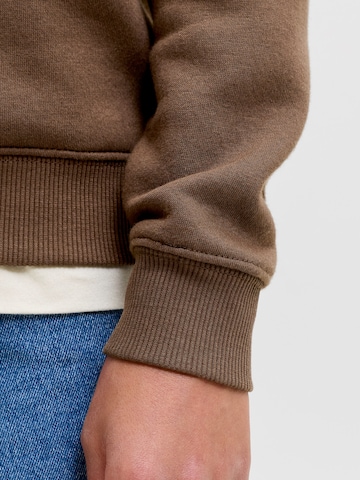 Jack & Jones Junior Majica 'JJAERO' | rjava barva