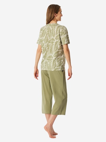 SCHIESSER Pyjama 'Comfort Essentials'‌‌‌‌‌‌‌‌‌‌ in Grün