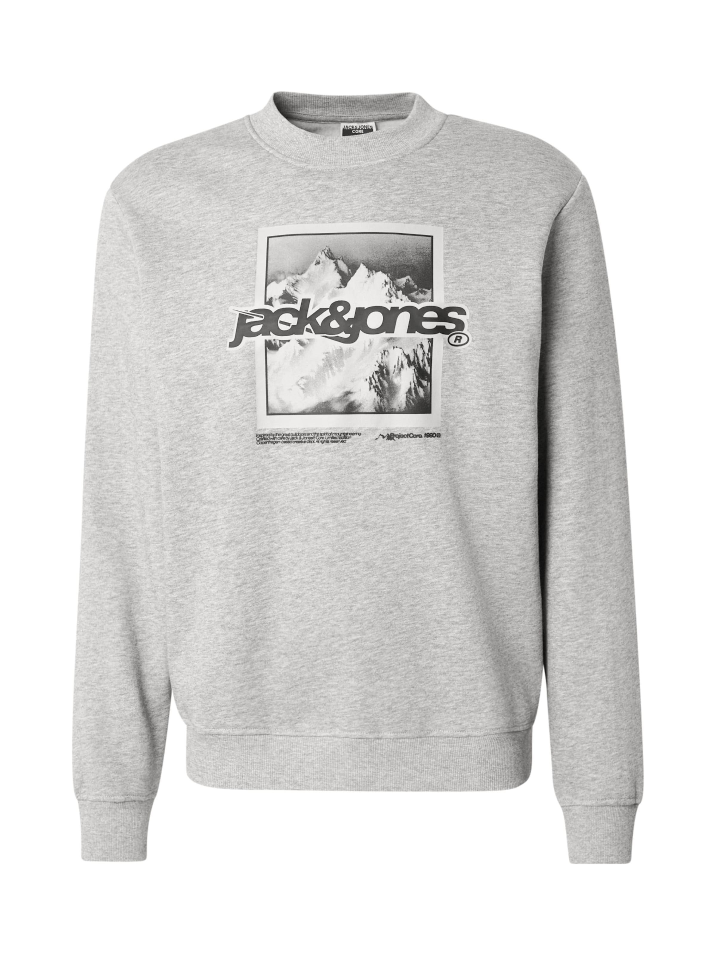 JACK & JONES Sweatshirt 'JCOFLARE' in Grau: Vorderseite