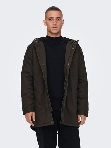 Only & Sons Winter Parka in Brown: front