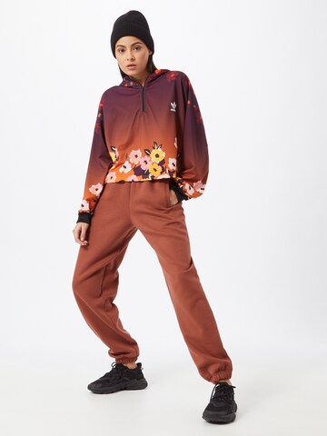 ADIDAS ORIGINALS Tapered Hose in Braun